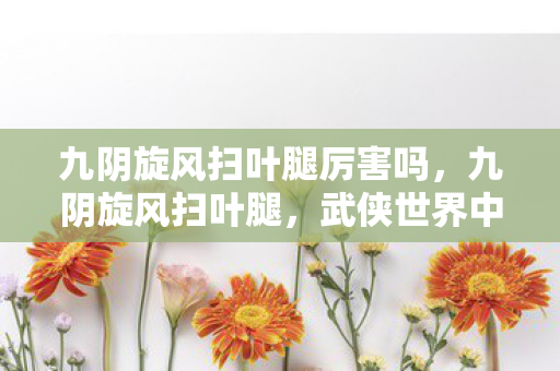 九阴旋风扫叶腿厉害吗，九阴旋风扫叶腿，武侠世界中的绝世武技