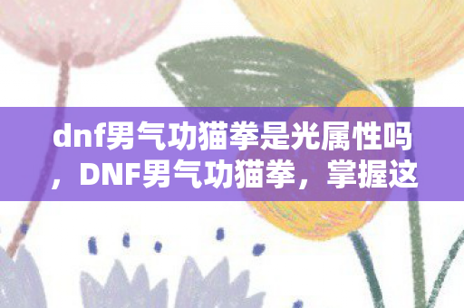 dnf男气功猫拳是光属性吗，DNF男气功猫拳，掌握这一技能，成为游戏中的猫影大师