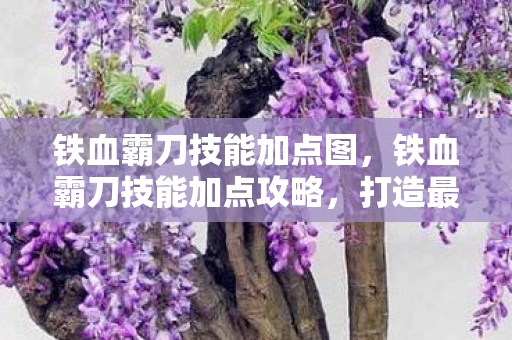 铁血霸刀技能加点图，铁血霸刀技能加点攻略，打造最强战斗力的关键