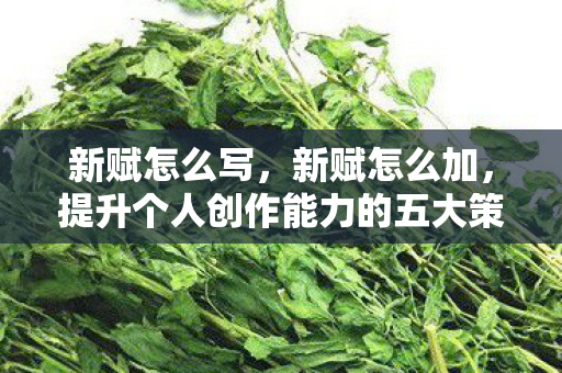 新赋怎么写，新赋怎么加，提升个人创作能力的五大策略