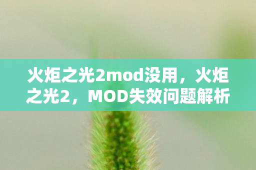 火炬之光2mod没用，火炬之光2，MOD失效问题解析与解决指南