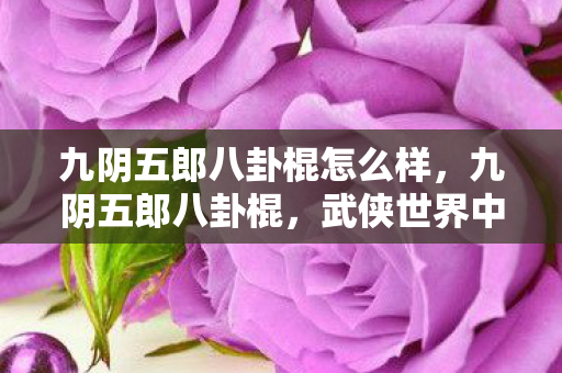 九阴五郎八卦棍怎么样,九阴五郎八卦棍,武侠世界中的传奇棍法 九阴五郎八卦棍怎么样,九阴五郎八卦棍,武侠世界中的传奇棍法