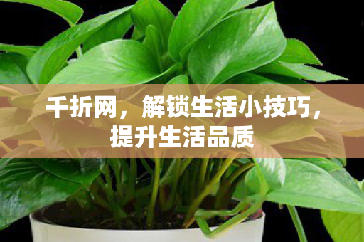 千折网，解锁生活小技巧，提升生活品质