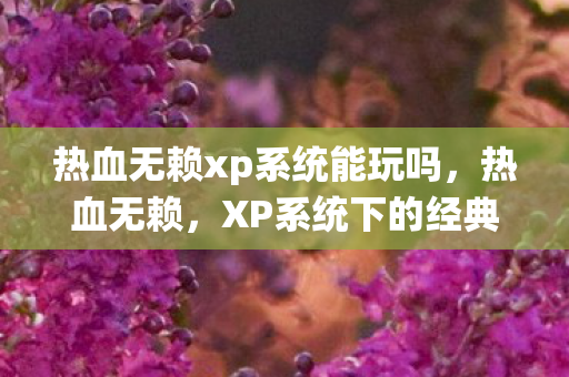 热血无赖xp系统能玩吗，热血无赖，XP系统下的经典游戏体验