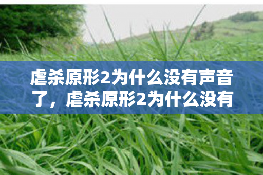 虐杀原形2为什么没有声音了,虐杀原形2为什么没有声音,深度解析与解决方案 虐杀原形2为什么没有声音了,虐杀原形2为什么没有声音,深度解析与解决方案