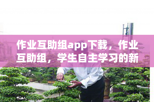 作业互助组app下载，作业互助组，学生自主学习的新模式