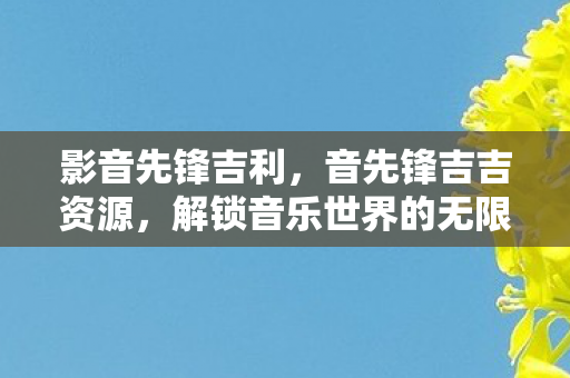 影音先锋吉利，音先锋吉吉资源，解锁音乐世界的无限可能