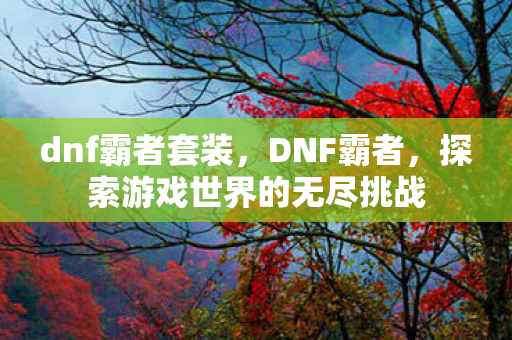 dnf霸者套装，DNF霸者，探索游戏世界的无尽挑战