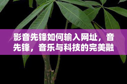 影音先锋如何输入网址,音先锋,音乐与科技的完美融合 影音先锋如何输入网址,音先锋,音乐与科技的完美融合