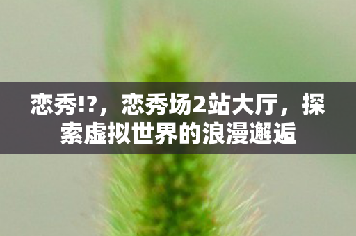 恋秀!?，恋秀场2站大厅，探索虚拟世界的浪漫邂逅