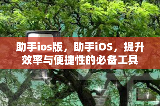 助手ios版，助手iOS，提升效率与便捷性的必备工具