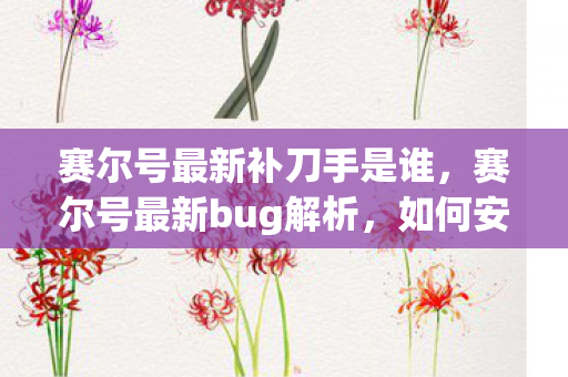 赛尔号最新补刀手是谁，赛尔号最新bug解析，如何安全有效地应对游戏问题