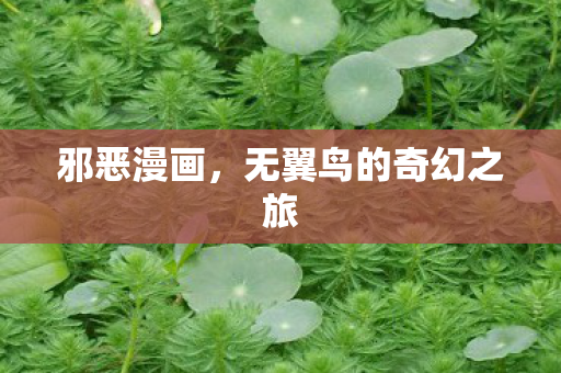 邪恶漫画，无翼鸟的奇幻之旅