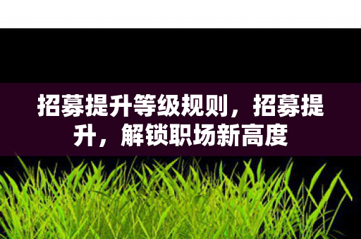 招募提升等级规则,招募提升,解锁职场新高度 招募提升等级规则,招募提升,解锁职场新高度