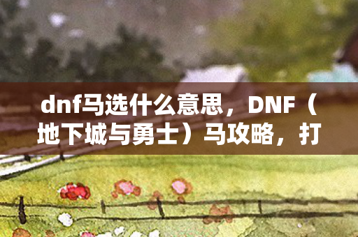 dnf马选什么意思，DNF（地下城与勇士）马攻略，打造你的专属战马