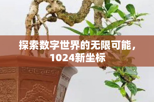 探索数字世界的无限可能，1024新坐标
