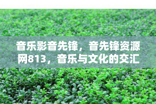音乐影音先锋，音先锋资源网813，音乐与文化的交汇点