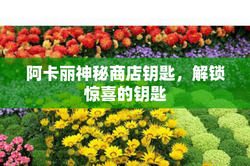 阿卡丽神秘商店钥匙,解锁惊喜的钥匙 阿卡丽神秘商店钥匙,解锁惊喜的钥匙