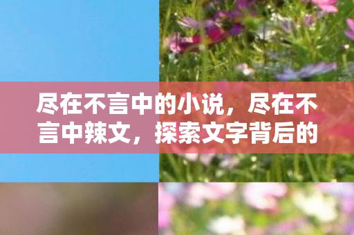 尽在不言中的小说，尽在不言中辣文，探索文字背后的情感与共鸣