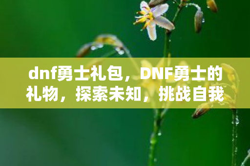 dnf勇士礼包，DNF勇士的礼物，探索未知，挑战自我