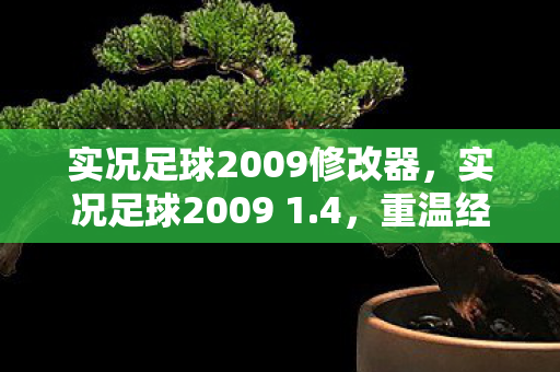 实况足球2009修改器，实况足球2009 1.4，重温经典，感受足球魅力