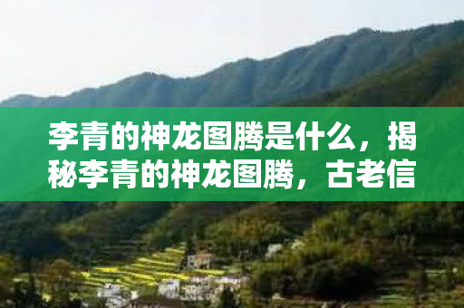 李青的神龙图腾是什么，揭秘李青的神龙图腾，古老信仰与现代传承的交融