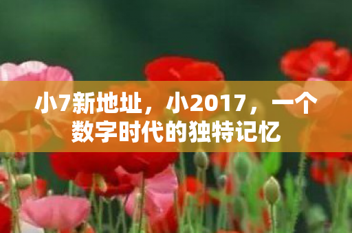 小7新地址，小2017，一个数字时代的独特记忆