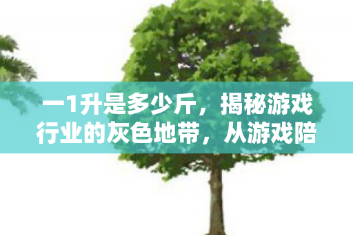 一1升是多少斤，揭秘游戏行业的灰色地带，从游戏陪玩到隐藏的经济链条