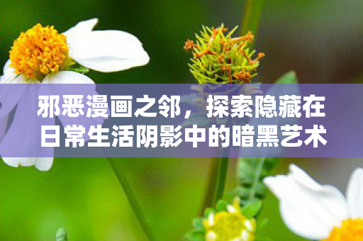 邪恶漫画之邻，探索隐藏在日常生活阴影中的暗黑艺术