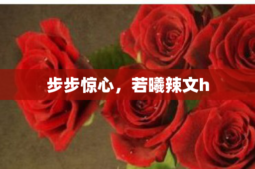 步步惊心，若曦辣文h
