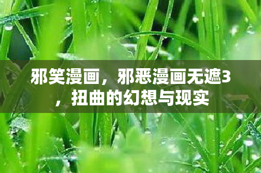 邪笑漫画，邪恶漫画无遮3，扭曲的幻想与现实