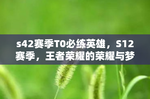 s42赛季T0必练英雄，S12赛季，王者荣耀的荣耀与梦想