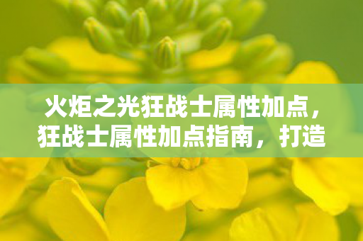火炬之光狂战士属性加点,狂战士属性加点指南,打造火炬之光中的狂暴战士 火炬之光狂战士属性加点,狂战士属性加点指南,打造火炬之光中的狂暴战士