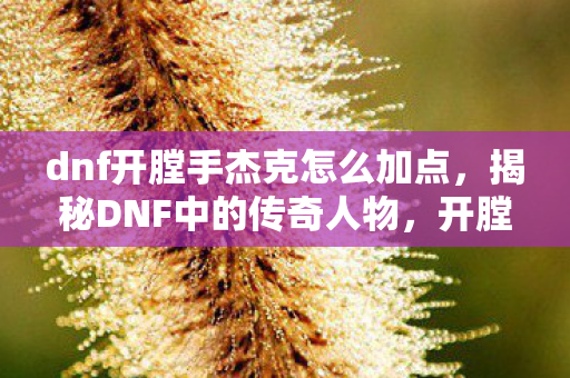 dnf开膛手杰克怎么加点，揭秘DNF中的传奇人物，开膛手杰克