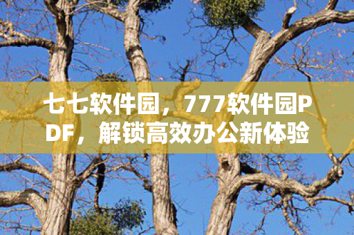 七七软件园，777软件园PDF，解锁高效办公新体验