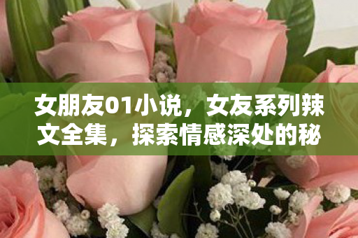 女朋友01小说,女友系列辣文全集,探索情感深处的秘密 女朋友01小说,女友系列辣文全集,探索情感深处的秘密