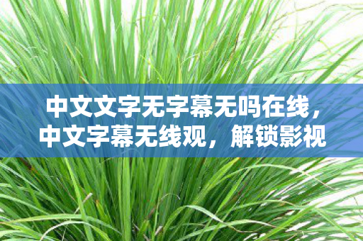 中文文字无字幕无吗在线，中文字幕无线观，解锁影视新体验