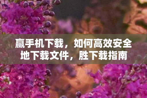 赢手机下载，如何高效安全地下载文件，胜下载指南