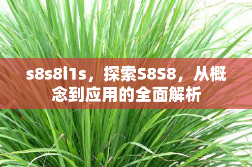 s8s8i1s，探索S8S8，从概念到应用的全面解析