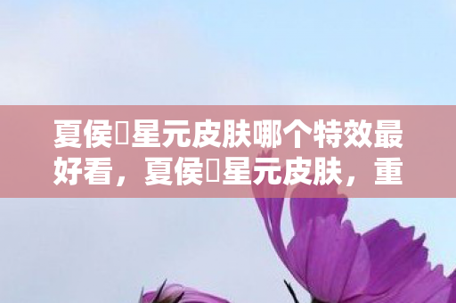 夏侯惇星元皮肤哪个特效最好看，夏侯惇星元皮肤，重塑英雄形象的独特魅力