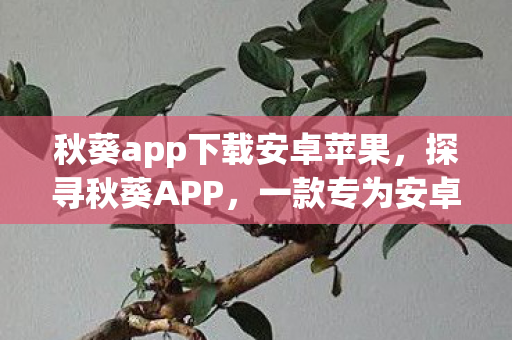 秋葵app下载安卓苹果，探寻秋葵APP，一款专为安卓用户打造的娱乐新天地