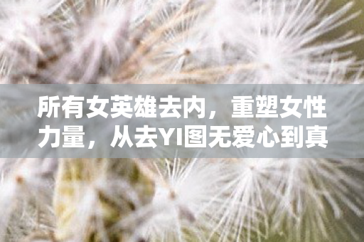 所有女英雄去内，重塑女性力量，从去YI图无爱心到真正的英雄