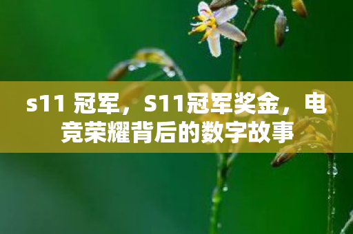 s11 冠军，S11冠军奖金，电竞荣耀背后的数字故事