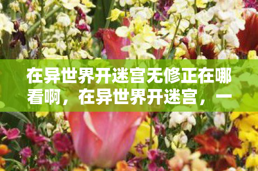 在异世界开迷宫无修正在哪看啊，在异世界开迷宫，一场无修之旅的奇幻冒险