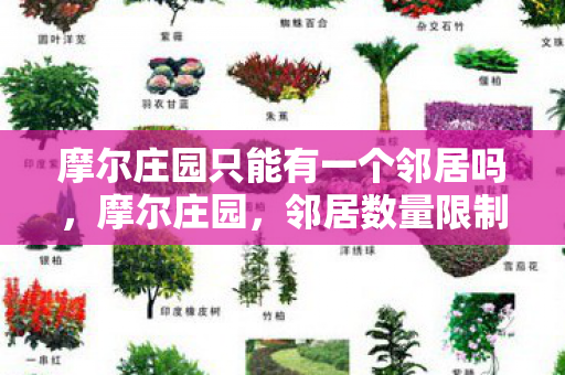 摩尔庄园只能有一个邻居吗，摩尔庄园，邻居数量限制与社区互动新体验