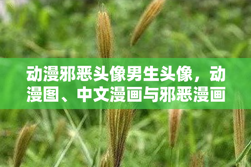 动漫邪恶头像男生头像,动漫图、中文漫画与邪恶漫画,探索数字时代的文化边界 动漫邪恶头像男生头像,动漫图、中文漫画与邪恶漫画,探索数字时代的文化边界