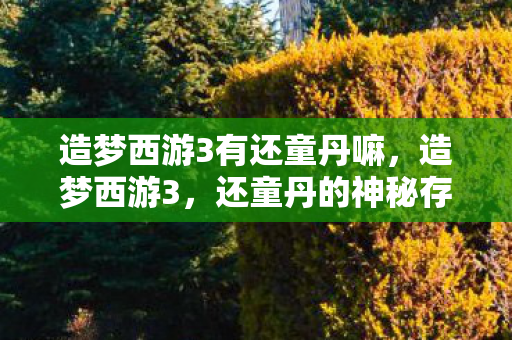 造梦西游3有还童丹嘛,造梦西游3,还童丹的神秘存在与获取方式 造梦西游3有还童丹嘛,造梦西游3,还童丹的神秘存在与获取方式