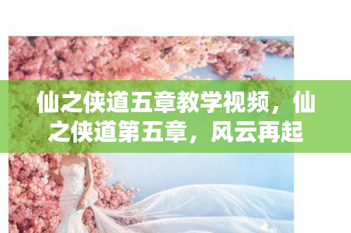 仙之侠道五章教学视频,仙之侠道第五章,风云再起 仙之侠道五章教学视频,仙之侠道第五章,风云再起