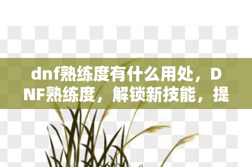 dnf熟练度有什么用处，DNF熟练度，解锁新技能，提升角色实力的关键