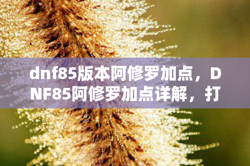 dnf85版本阿修罗加点，DNF85阿修罗加点详解，打造最强修罗的攻略